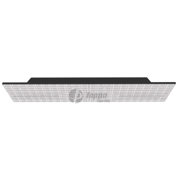 Suspending and Recessed PMMA LED Panel Track Light
