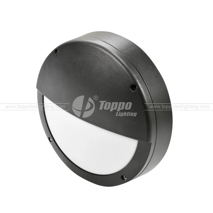 D350 Moon 2D Bulkheads Light