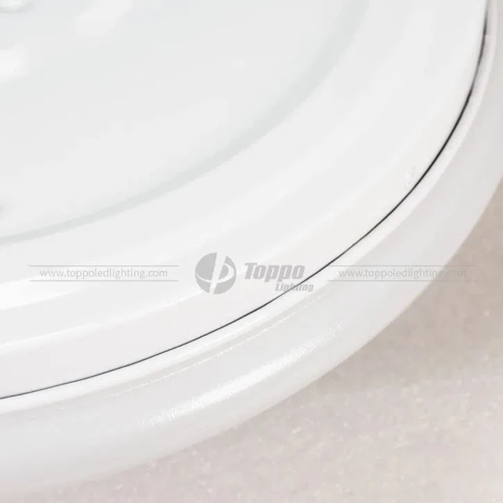 LED Lights Ceiling Oyster