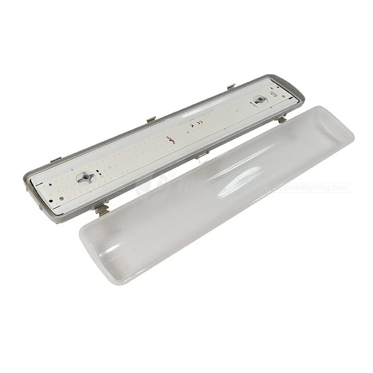IP65 IK10 5 Years Warranty LED NCF