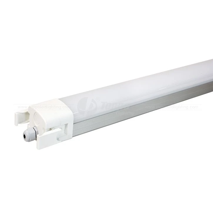 D Version Single or Double Wiring 5 Years Warrany LED Triproof Light